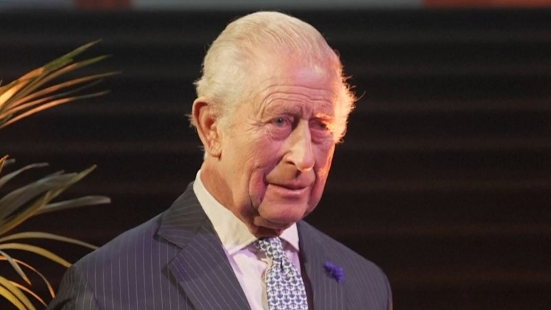 king-charles-faces-public-outcry-during-royal-engagement