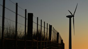 labor-pushes-for-urgent-nature-reforms-before-2025-deadline