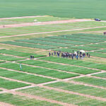 leading-researchers-unite-to-drive-innovation-in-australian-agriculture