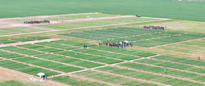 leading-researchers-unite-to-drive-innovation-in-australian-agriculture