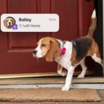 life360-launches-pet-gps-tracker-to-keep-families-connected