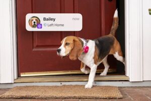 life360-launches-pet-gps-tracker-to-keep-families-connected