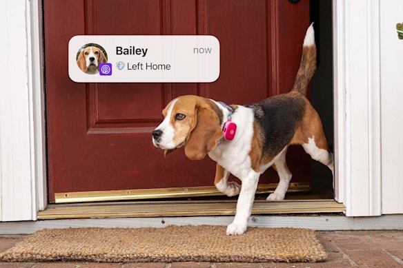 life360-launches-pet-gps-tracker-to-keep-families-connected