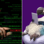 major-cyberattack-hits-vocus-affecting-dodo-and-iprimus-customers
