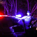 man-arrested-after-12-hour-standoff-in-brisbane-tree