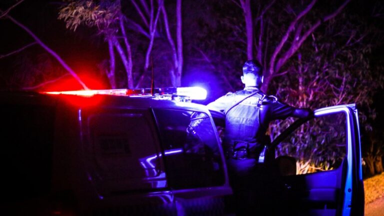 man-arrested-after-12-hour-standoff-in-brisbane-tree