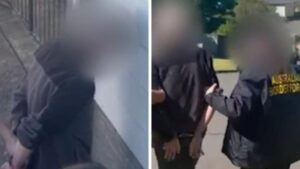 man-charged-in-sydney-for-importing-childlike-sex-doll-ai-material