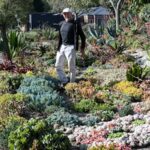 melbourne-s-narre-warren-north-emerges-as-luxury-suburb