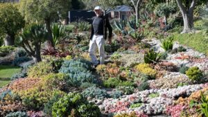 melbourne-s-narre-warren-north-emerges-as-luxury-suburb