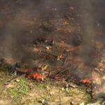 multiple-fatalities-confirmed-in-devastating-tennessee-munitions-blast