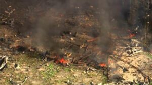 multiple-fatalities-confirmed-in-devastating-tennessee-munitions-blast