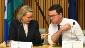 nationals-leader-urges-liberals-to-resolve-internal-conflict-now