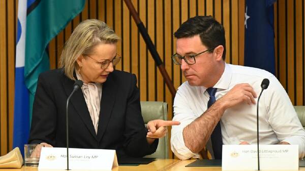 nationals-leader-urges-liberals-to-resolve-internal-conflict-now