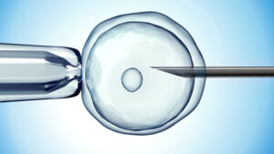 navigating-fertility-choices-the-complexities-of-egg-donation