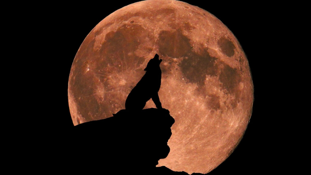 new-research-explores-full-moon-s-impact-on-sleep-patterns