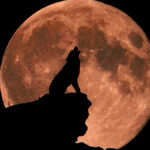 new-research-explores-full-moon-s-impact-on-sleep-patterns