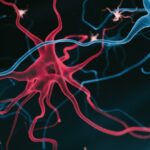 new-research-reveals-fat-buildup-in-brain-cells-as-alzheimer-s-target