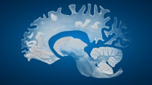 new-study-reveals-male-brains-shrink-faster-than-female-brains
