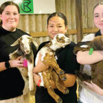 nhill-show-breaks-records-with-over-2-600-entries-and-fireworks-