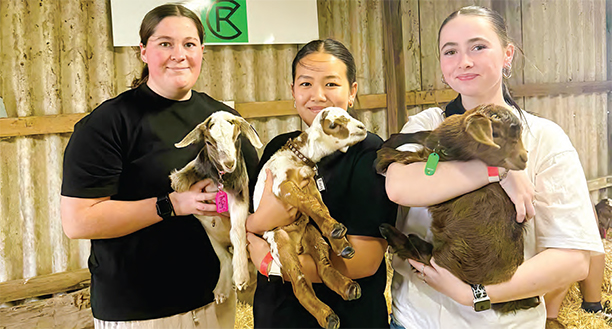 nhill-show-breaks-records-with-over-2-600-entries-and-fireworks-