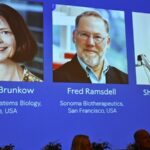 nobel-prize-in-medicine-awarded-for-groundbreaking-immune-research