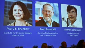 nobel-prize-in-medicine-awarded-for-groundbreaking-immune-research