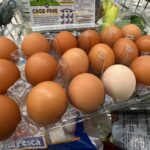 northern-colorado-s-beavers-market-closes-after-nearly-50-years
