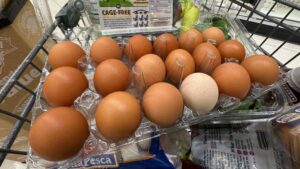 northern-colorado-s-beavers-market-closes-after-nearly-50-years