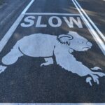 Koala traffic warning signs in Port Stephens, NSW, Australia