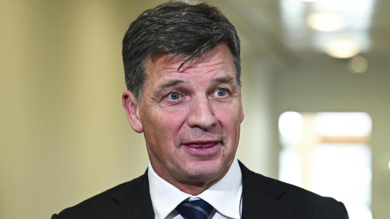 opposition-criticizes-albanese-over-china-s-iron-ore-ban