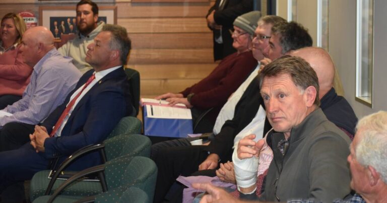 orange-council-grants-6-month-extension-for-greyhound-track-project