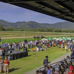 peter-moody-s-sheza-alibi-eyes-group-3-glory-at-melbourne-cup