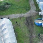 police-seize-15m-cannabis-crop-in-melbourne-eight-arrested