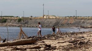protests-spark-urgent-cleanup-at-horseshoe-beach-amid-safety-concerns