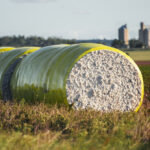 queensland-s-primary-industries-surge-to-26-79b-record-growth-