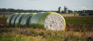 queensland-s-primary-industries-surge-to-26-79b-record-growth-