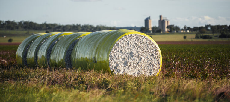 queensland-s-primary-industries-surge-to-26-79b-record-growth-