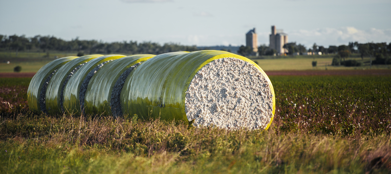 queensland-s-primary-industries-surge-to-26-79b-record-growth-