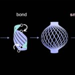 researchers-develop-versatile-polymer-structure-with-shape-shifting-abilities