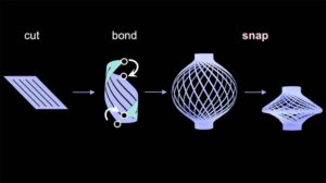 researchers-develop-versatile-polymer-structure-with-shape-shifting-abilities