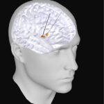 researchers-uncover-new-electrical-signature-for-parkinson-s-disease