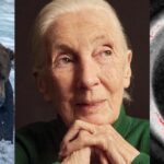 science-highlights-remembering-jane-goodall-and-fertility-advances