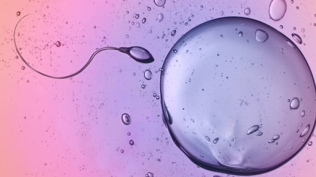 scientists-uncover-how-sperm-swim-against-physics-laws