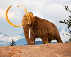 scientists-unlock-ancient-secrets-through-dna-in-rocks