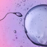 scientists-unravel-how-sperm-swim-through-viscous-fluids