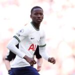 Tottenham Hotspur v Brighton & Hove Albion - Premier League