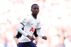 Tottenham Hotspur v Brighton & Hove Albion - Premier League