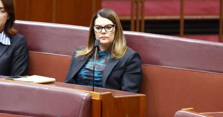 social-media-giants-skip-inquiry-on-under-16-ban-senate-responds