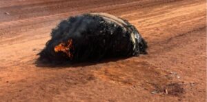 space-junk-lands-in-australia-experts-investigate-origin