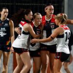 st-kilda-secures-sixth-win-but-injuries-plague-team
